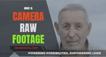 Understanding Camera Raw Footage: Unlocking the Power of Raw