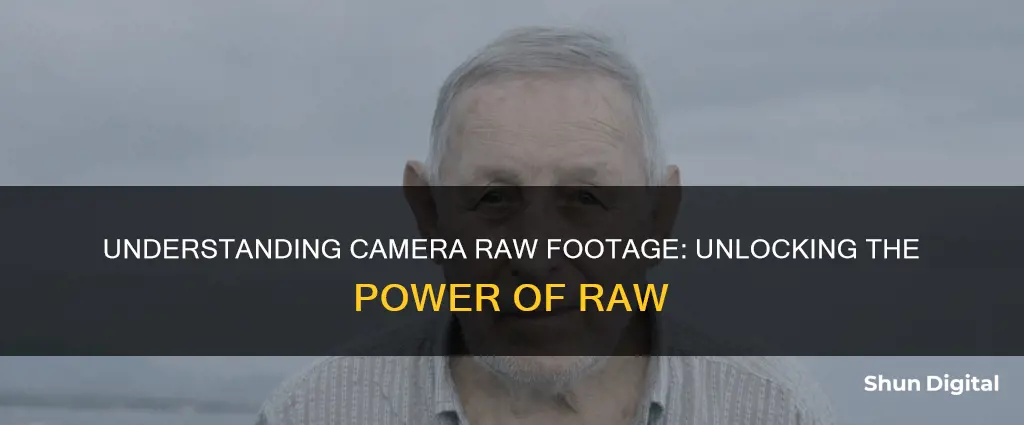 what is camera raw footage