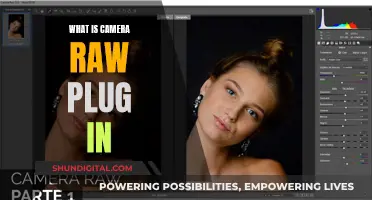 Understanding Camera Raw: A Powerful Plugin for Photographers