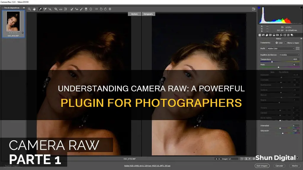 what is camera raw plug in