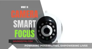 Smart Focus: How Cameras Autofocus with Precision