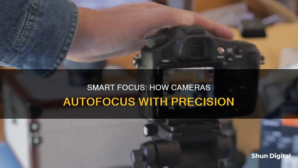 what is camera smart focus