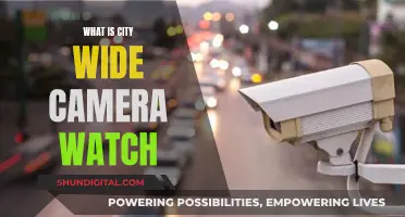 The Benefits of City-Wide Camera Surveillance