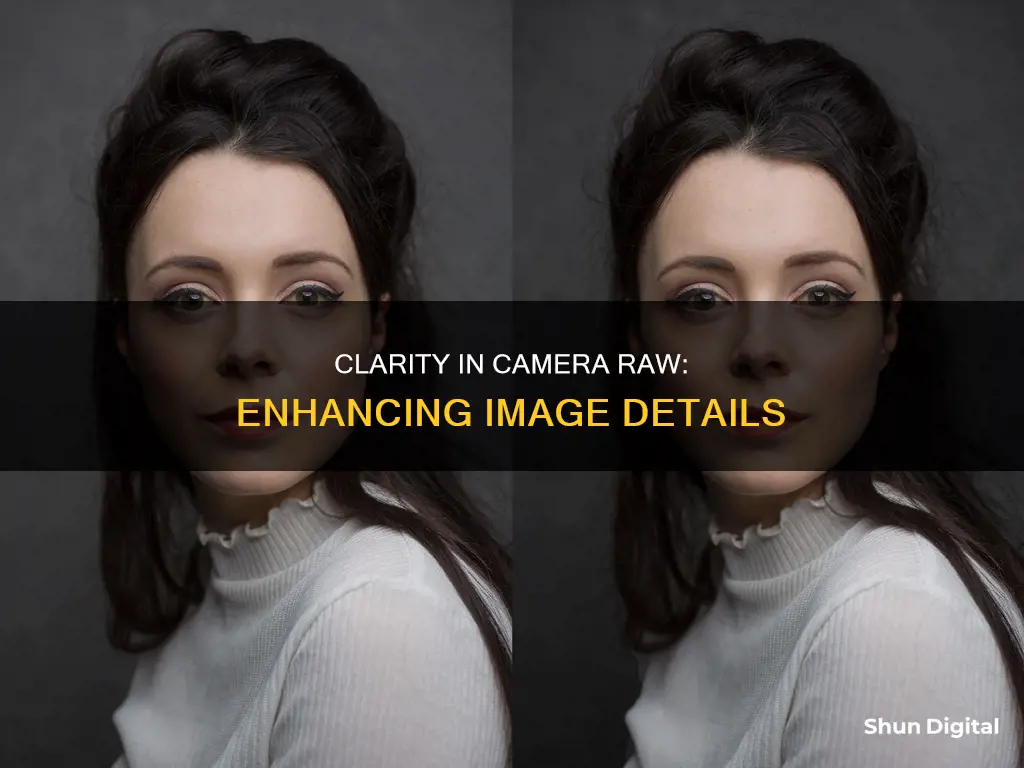 what is clarity in adobe camera raw
