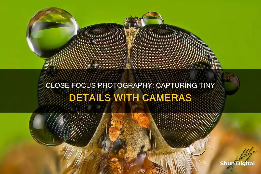 what is close focus with cameras