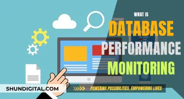 Database Performance Monitoring: Optimizing Your Database's Potential