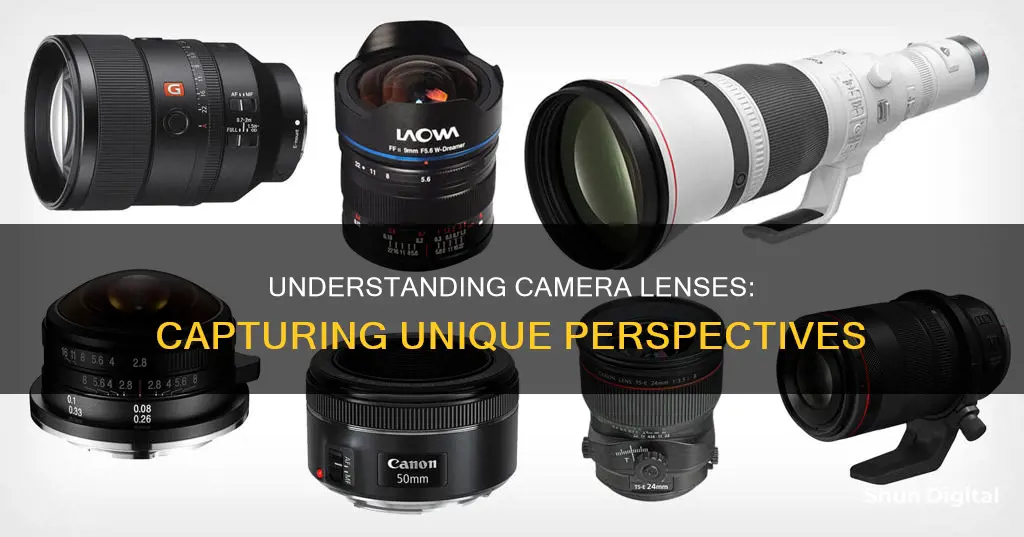 what is difference between camera lenses