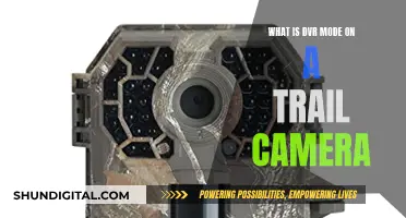 Understanding DVR Mode on Trail Cameras