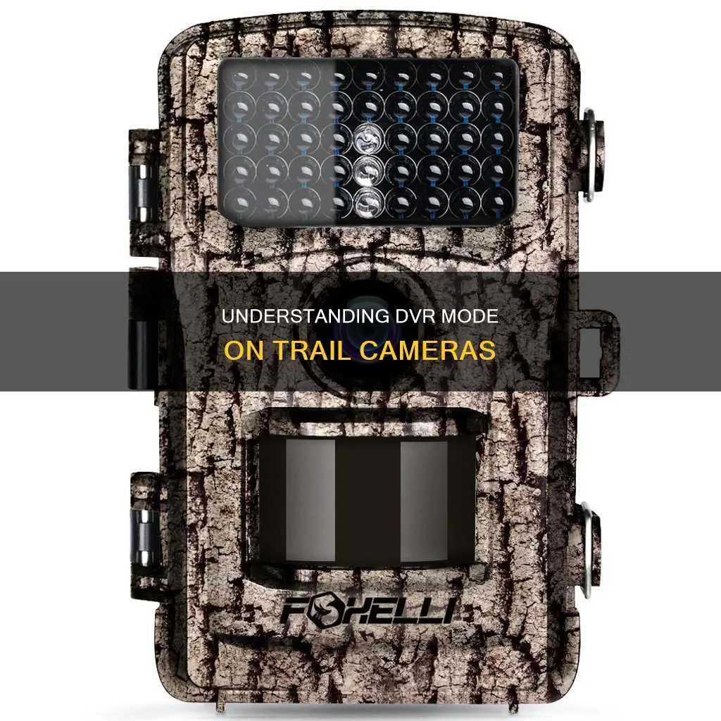 what is dvr mode on a trail camera