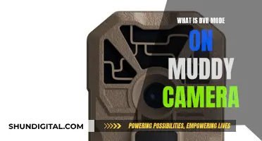 Understanding DVR Mode on Your Muddy Camera