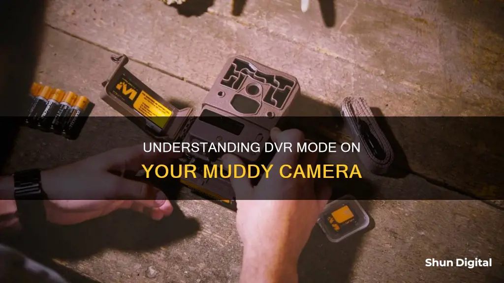 what is dvr mode on muddy camera