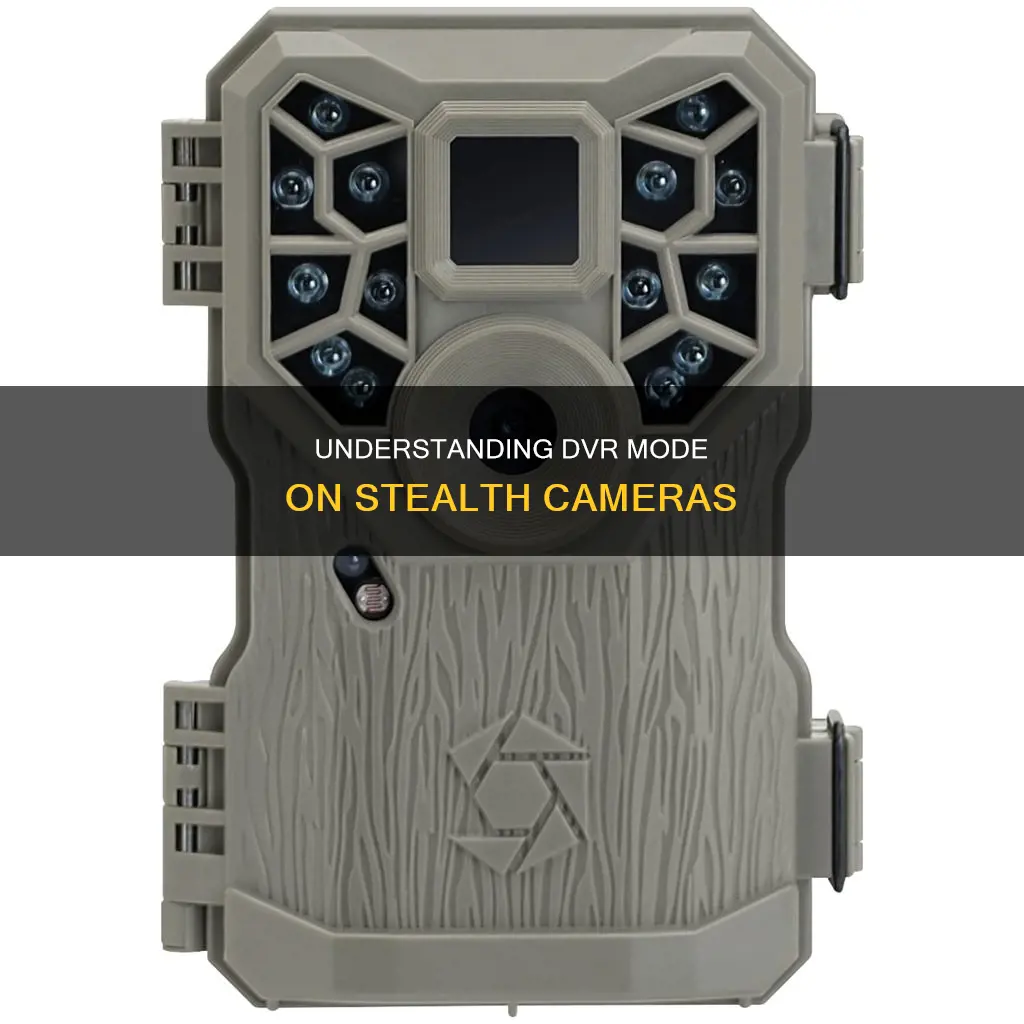 what is dvr mode on stealth camera