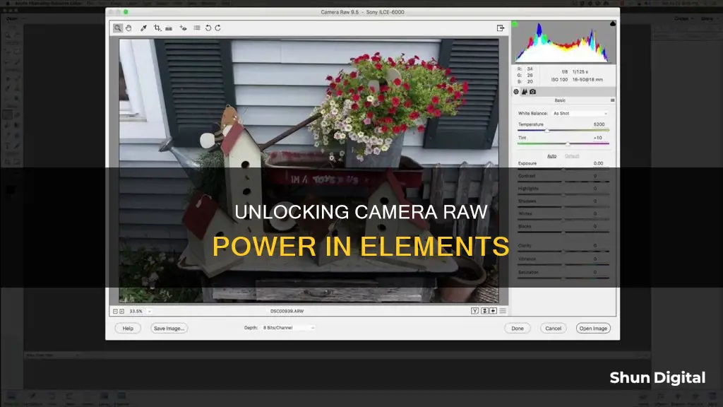 what is elements camera raw