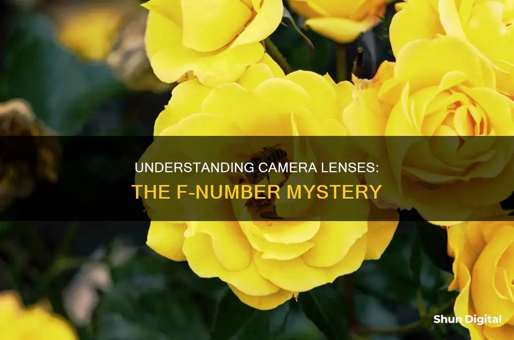 what is f number in camera lenses