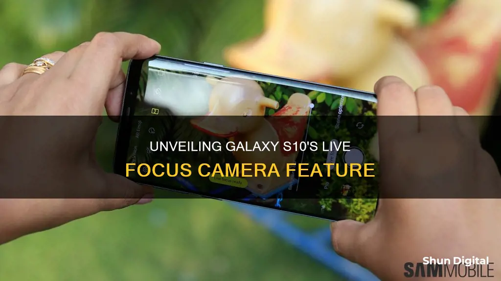 what is galaxy s10 camera live focus