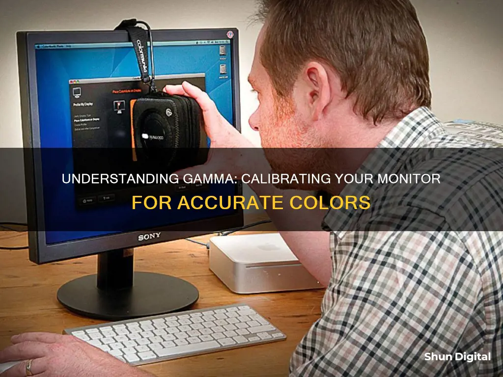 what is gamma in monitor calibration