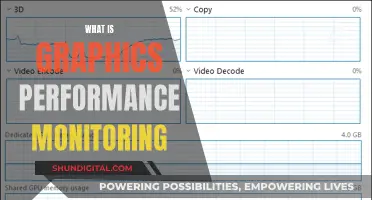 Graphics Performance Monitoring: Understanding Visual Efficiency