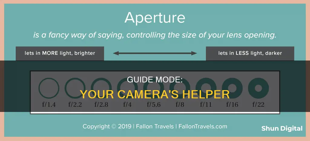 what is guide mode on a camera