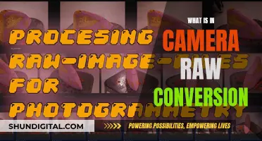 Understanding Camera Raw Conversion: The Basics