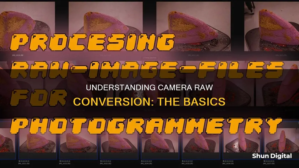 what is in camera raw conversion