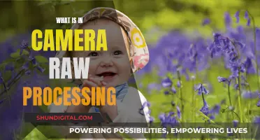 Unleashing Camera Raw Processing for Stunning Photo Edits