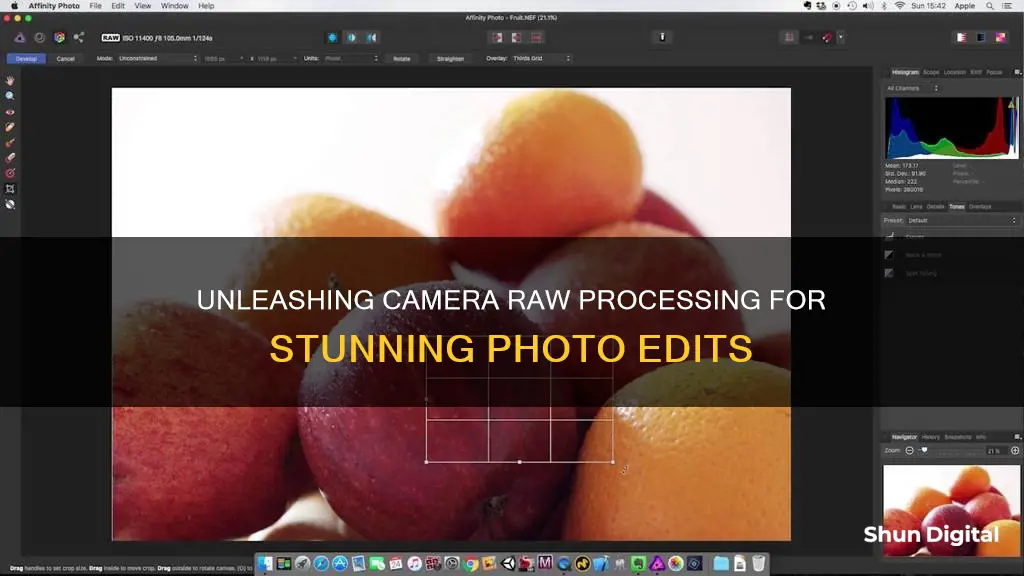 what is in camera raw processing