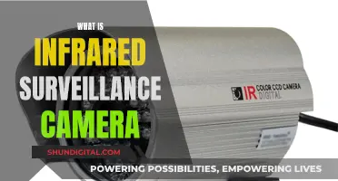 Infrared Surveillance Cameras: How Do They Work?