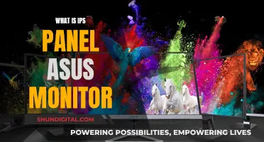 IPS Panel Monitors: ASUS' Display Innovation Explained