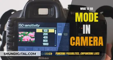 Understanding ISO Mode in Photography