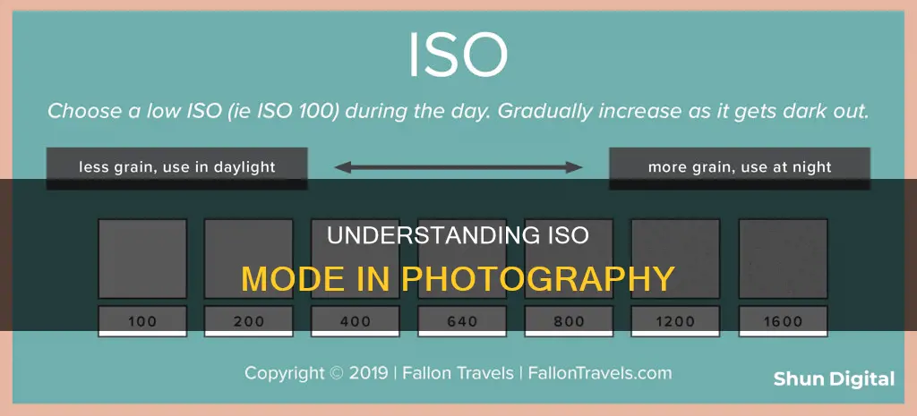 what is iso mode in camera