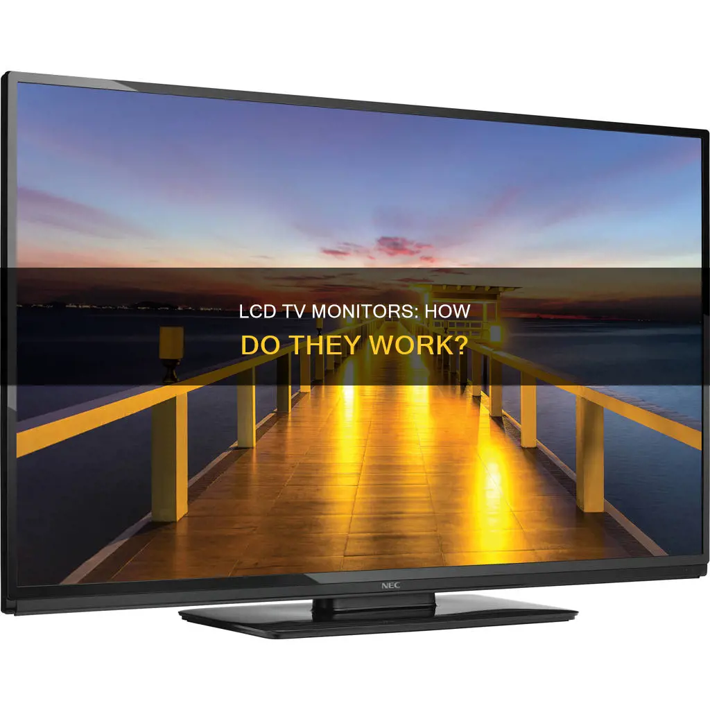 what is lcd tv monitor