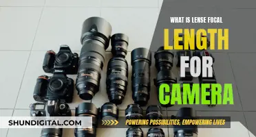 Understanding Camera Lenses: Focal Length Explained