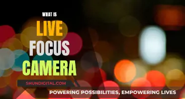 Live Focus Camera: Capturing Photos with Artistic Bokeh Effects