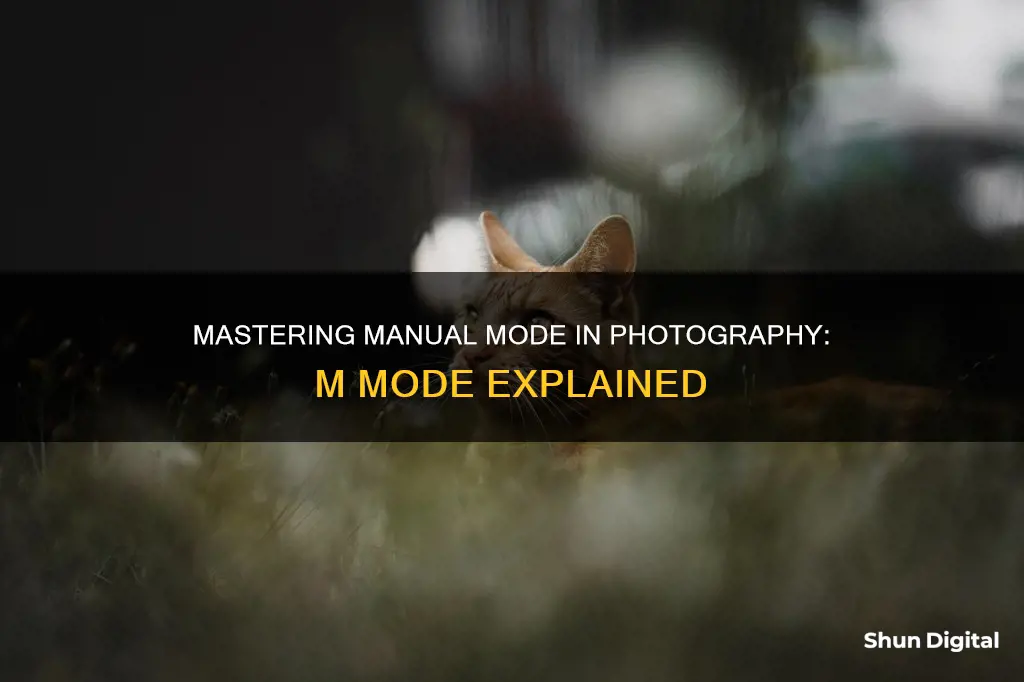 what is m mode on camera