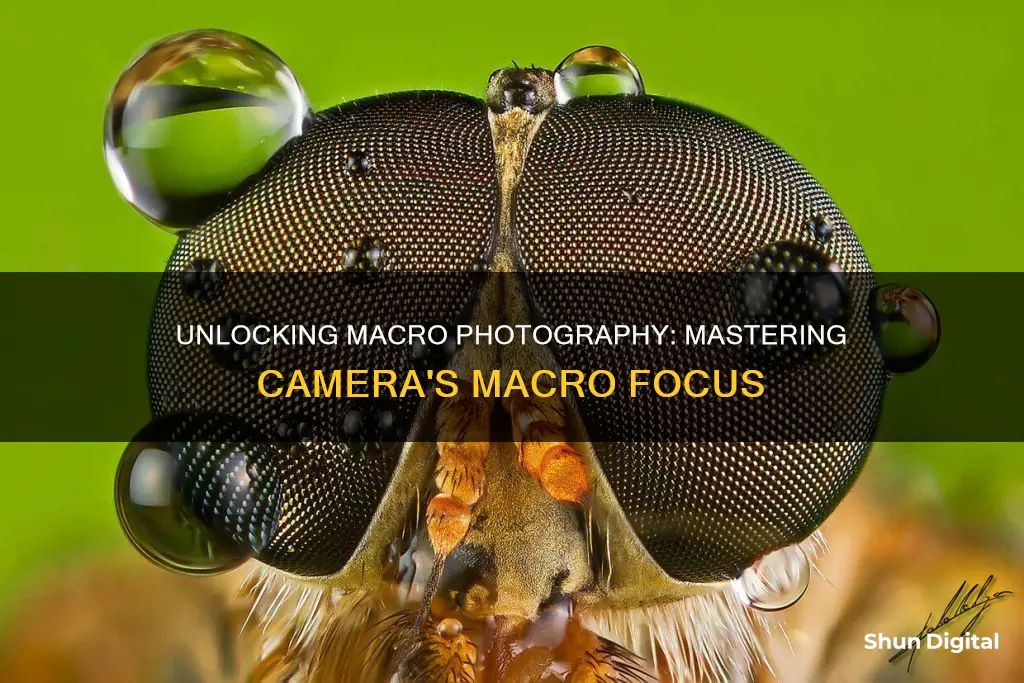 what is macro focus in camera