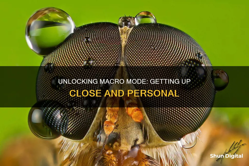 what is macro mode on a camera