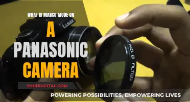 Marco Mode: Panasonic Camera's Secret Superpower