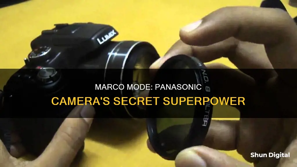 what is marco mode on a panasonic camera