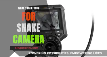 Max Focus Snake Camera: Capturing Sharp Images with Ease