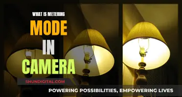 Understanding Metering Modes: Master Your Camera's Light Sensitivity