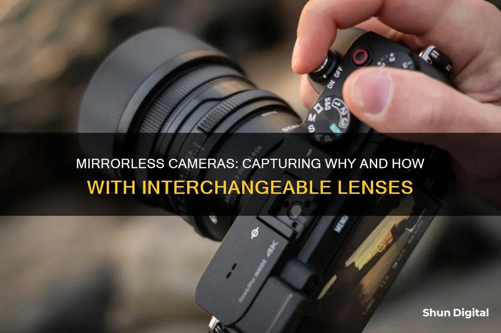 what is mirror less camera and why lenses