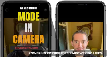 Understanding Mirror Mode: Camera's Unique Feature