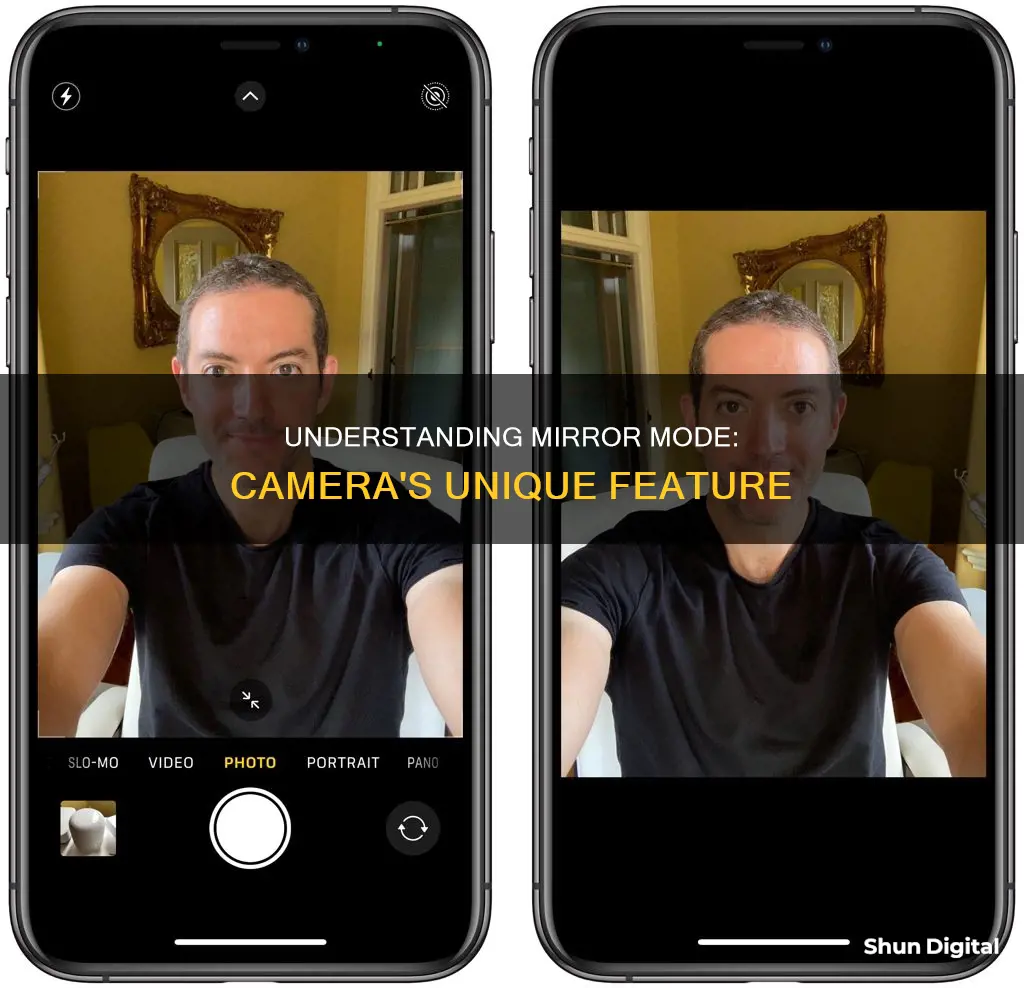 what is mirror mode in camera