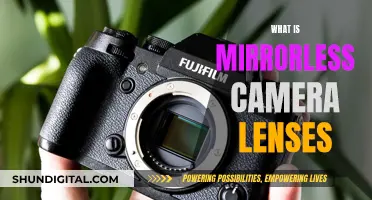 Understanding Camera Lenses: Mirrorless Magic Explained