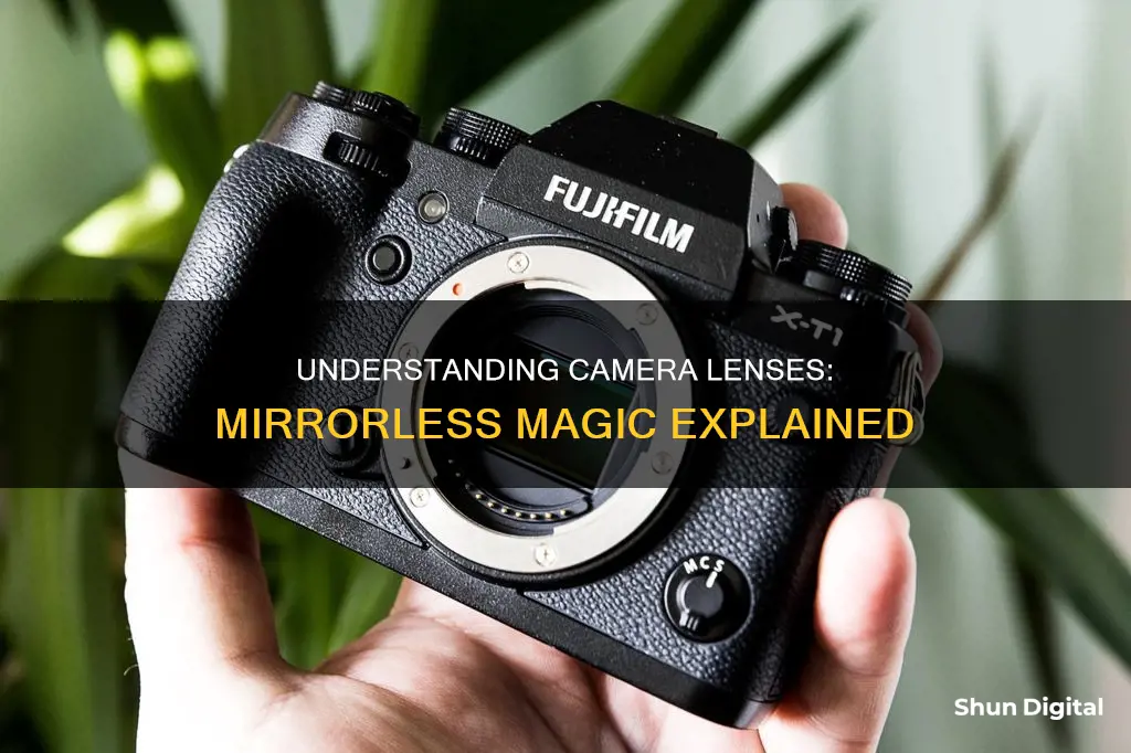 what is mirrorless camera lenses