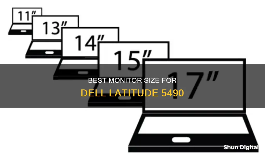 what is monitor size latitude 5490