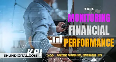 Monitoring Financial Performance: Strategies for Success