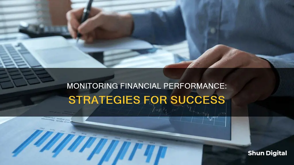 what is monitoring financial performance