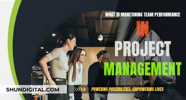 Monitoring Team Performance: Effective Project Management Strategies