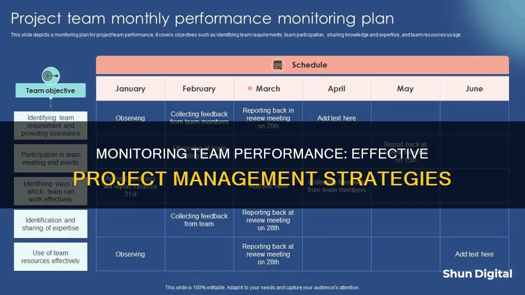 what is monitoring team performance in project management